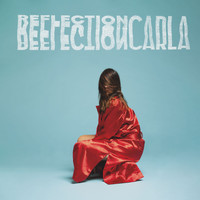 CARLA - Reflection