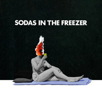Flycatcher - Sodas in the Freezer (Explicit)