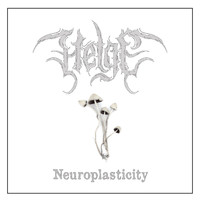Helge - Neuroplasticity (Explicit)
