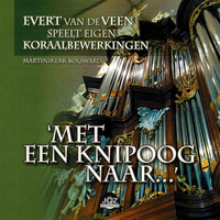 Evert van de Veen - Met een knipoog naar….