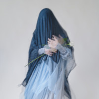 Sarah P. - Plotting Revolutions I