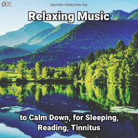 Yoga Music & Relaxing Music & Yoga - #01 Relaxing Music to Calm Down, for Sleeping, Reading, Tinnitus