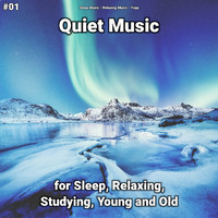 Sleep Music & Relaxing Music & Yoga - #01 Quiet Music for Sleep, Relaxing, Studying, Young and Old