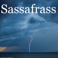 Sassafrass - Hurricane