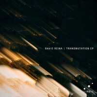 David Reina - Transmutation