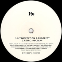 ITU - Introspection