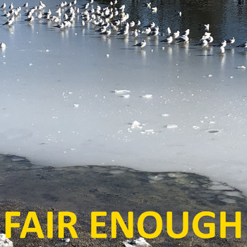 Various Artists - Fair Enough
