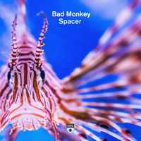 Bad Monkey - Spacer