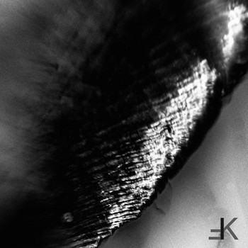 Øbsidiaän - Ecdysis Remixes