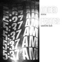 Fester - 537 AM