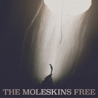 The Moleskins - Free