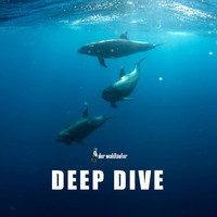 Der Waldläufer - Deep Dive