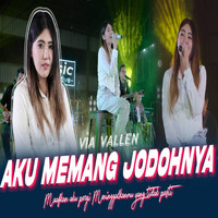 Via Vallen - Aku Memang Jodohnya