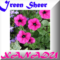 Ireen Sheer - Xanadu