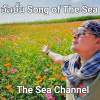 The Sea - รวมเพลงฮิต The Sea (#The sea channel [Explicit])