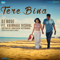 DJ Bose - Tere Bina