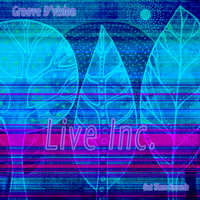 Groove D'Vision - Live Inc.