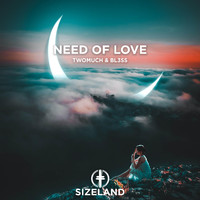 TwoMuch, BL3SS - Need Of Love