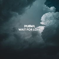 Panima - Wait for Love