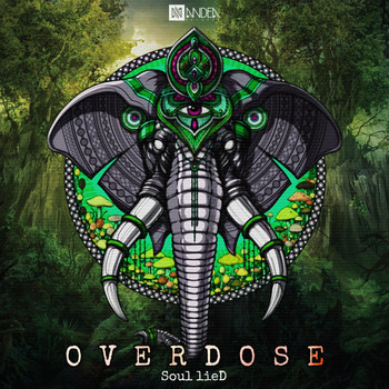 Soul LieD - Overdose