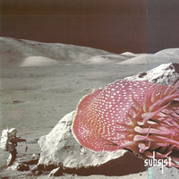 Translate - Beyond Universes