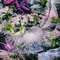 Cherry Coke - we're dying (Remix Pack)