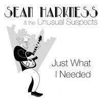Sean Harkness - Just What I Needed