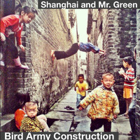 Shanghai - Bird Army Construction