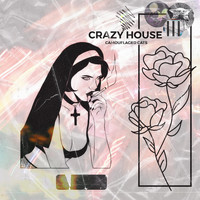 Camouflaged Cats - Crazy House (Explicit)