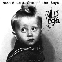 Wild Boys - Last One of the Boys B/W We're Only Monsters