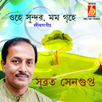 Subrata Sengupta - Ohe Sundor Momo Grihe