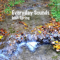 Almms - Irish Spring (Every Day Sounds)
