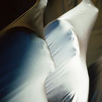 Marottes - Languishing