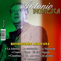 Antonio Bribiesca - Revolucion Mexicana