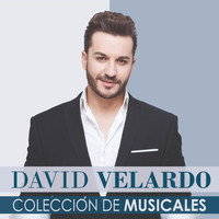 David Velardo - Colección de Musicales