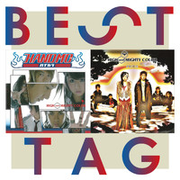 High And Mighty Color - Ichirinnohana / Pride Best Tag