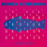 Sudden Afternoon - Acid Rain