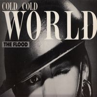 The Flood - Cold Cold War