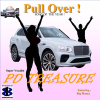PD Treasure - Pull Over !