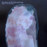 The Delay in the Universal Loop - Split Consciousness (Explicit)