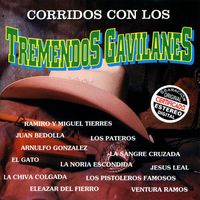 Los Tremendos Gavilanes - Corridos Con los Tremendos Gavilanes