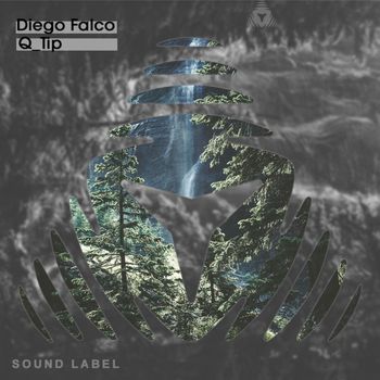 Diego Falco - Q_tip