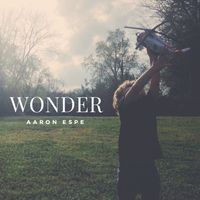 Aaron Espe - Wonder