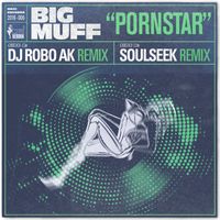 Big Muff - Pornstar (The DJ Robo AK & Soulseek Remixes)