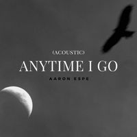 Aaron Espe - Anytime I Go (Acoustic)