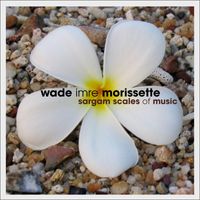 Wade Imre Morissette - Sargam Scales of Music