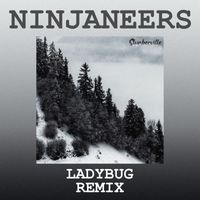 Slumberville - Ladybug (Ninjaneers Remix)