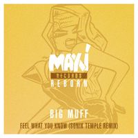 Big Muff - Feel What You Know (Sonik Temple Remix)