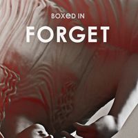 Boxed In - Forget (Radio Edit)
