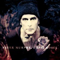 Peter Murphy - I Spit Roses